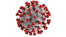 Daily Coronavirus News & Views